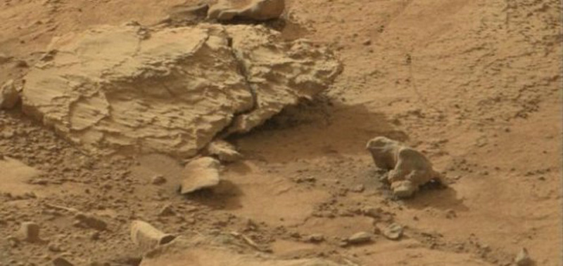 Iguana Rock Evidence Of Life On Mars