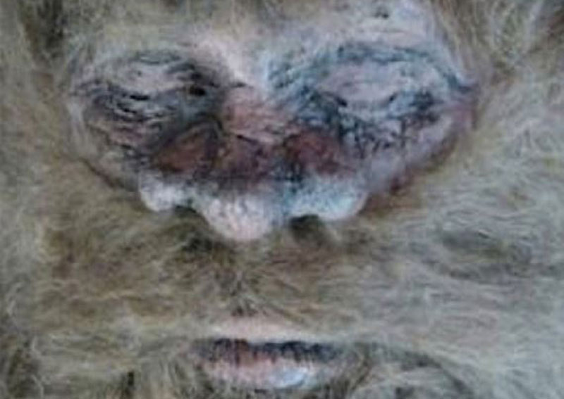 bigfoot pictures and videos