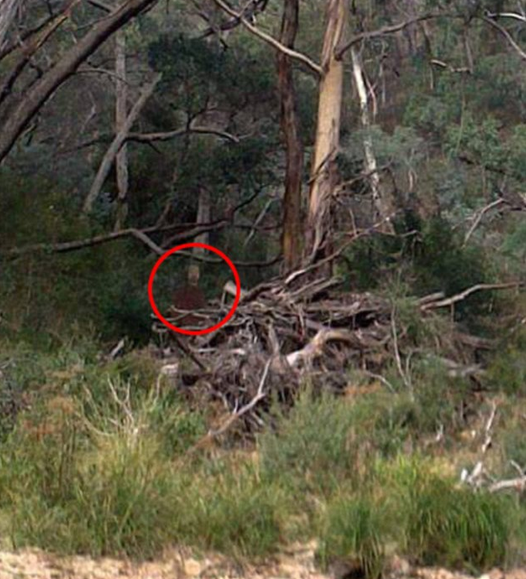 Ghost caught on photo in toowomba